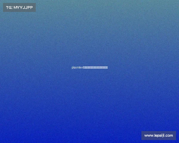 plaintext电竞破圈入亚运，杭城点燃数字圣火