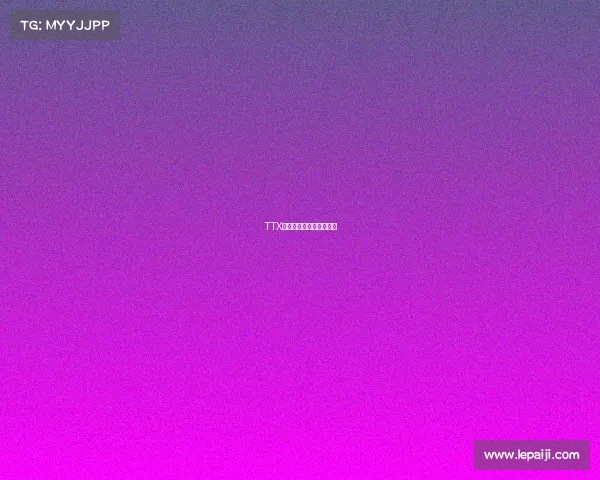 TTX战队：王者之师再临巅峰