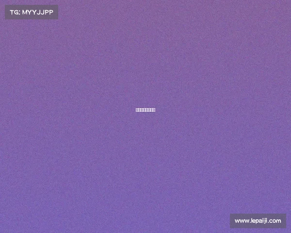 今年双十一的战绩